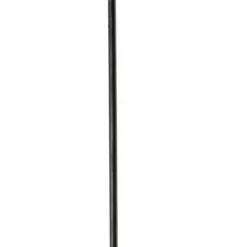 Dt-swiss DT SWISS CHAMPION Speichen Schwarz 2x280mm Nirosta