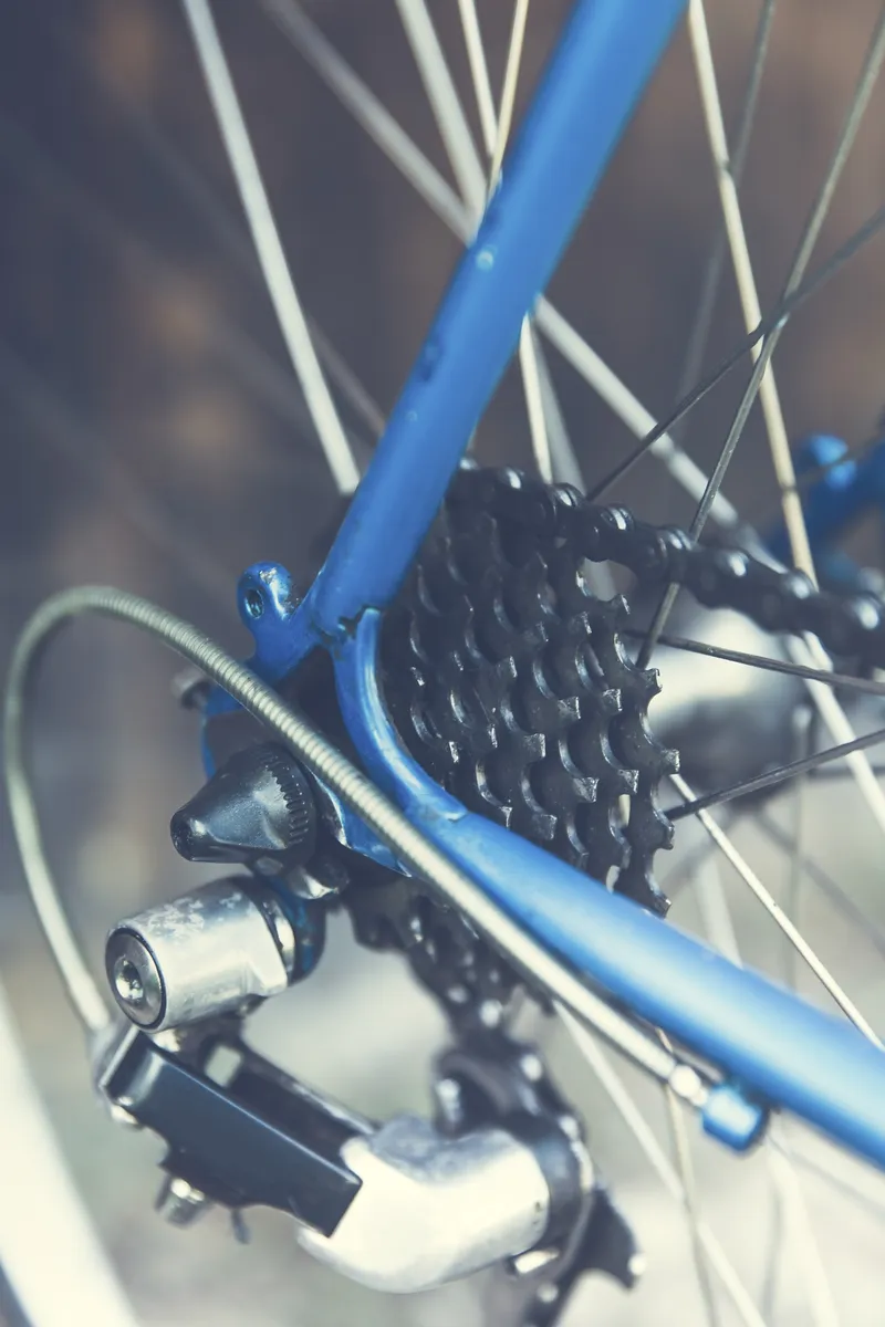 Titelseite 17 Titelseite -Salsa Store 4